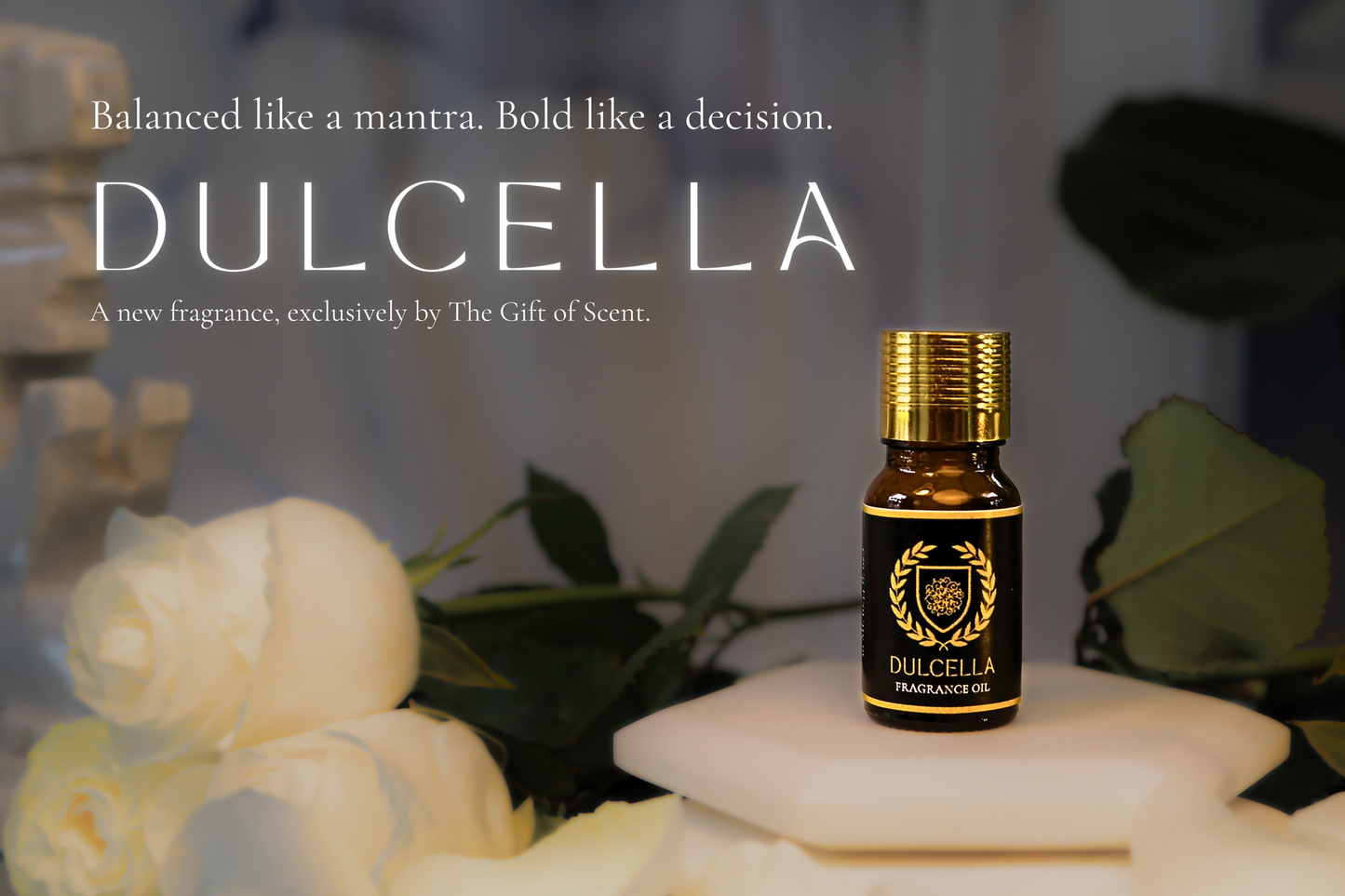 Solara Garden Bundle