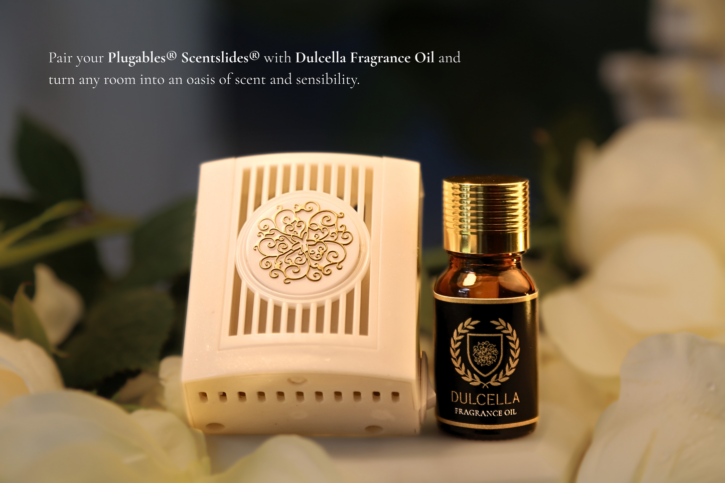 Solara Garden Bundle