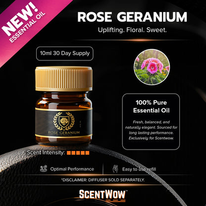 ScentWow® Fragrance oil Refills (10ml) - 30 Day Supply Per Bottle