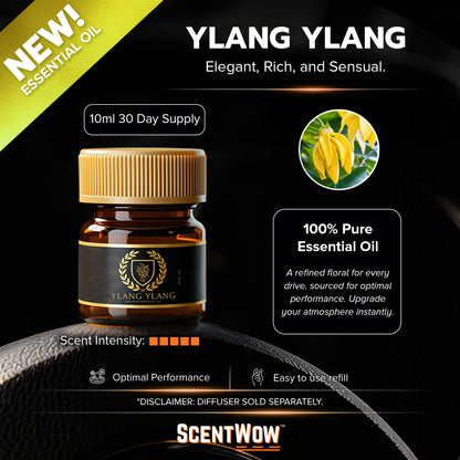 ScentWow® Fragrance oil Refills (10ml) - 30 Day Supply Per Bottle