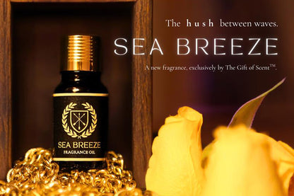 The Prima Signature Collection: The Luxe Scent Experience for Home and Car